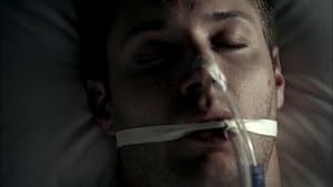 In My Time of Dying